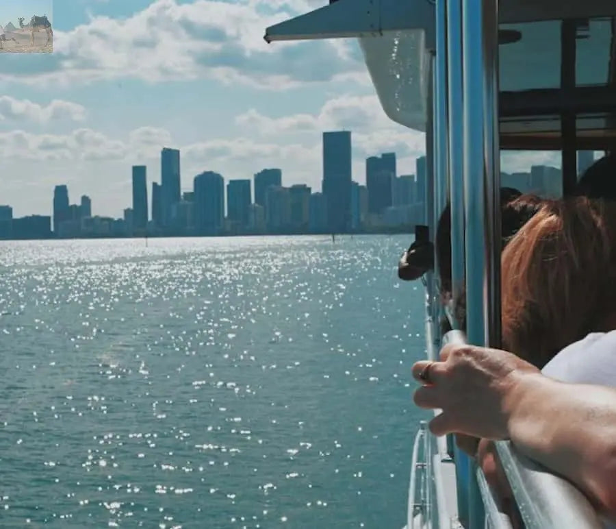 Miami Biscayne Bay Millionaire's Homes Sightseeing Cruise 