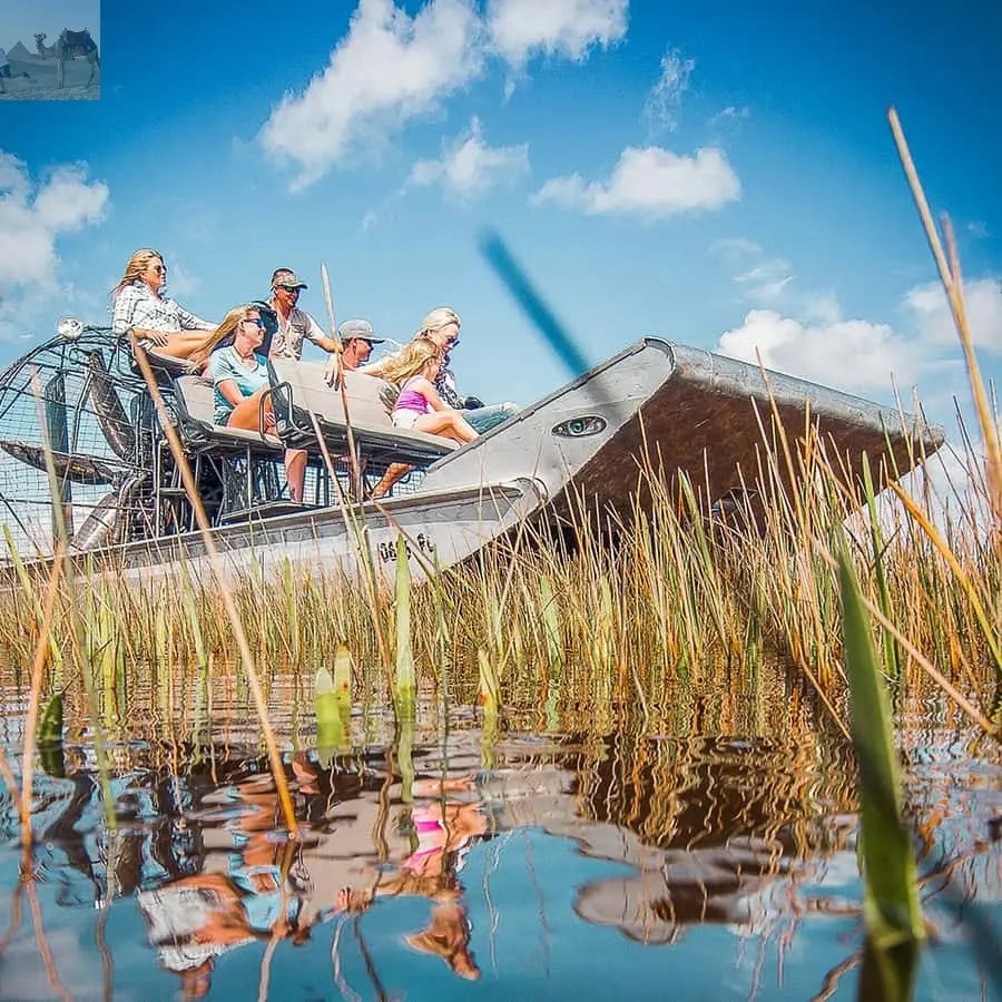 Miami Everglades National Park Airboat Tour & Wildlife Show