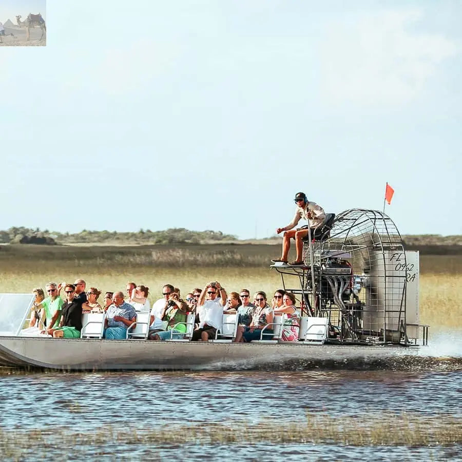 Miami Everglades National Park Airboat Tour & Wildlife Show 