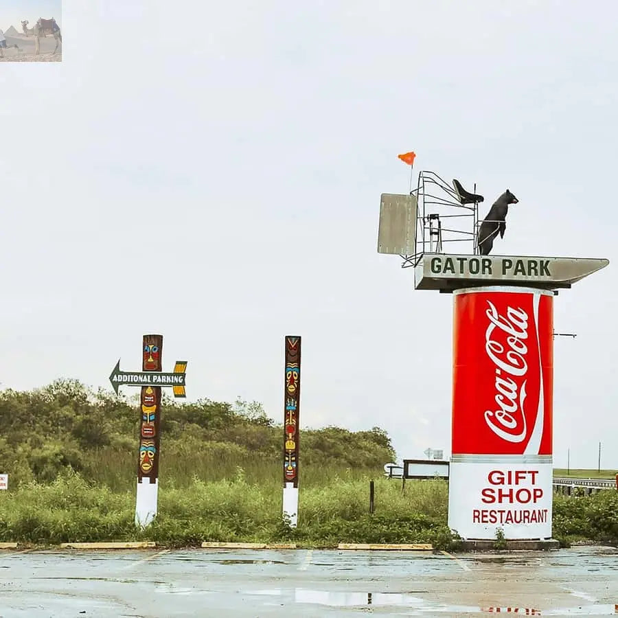 Miami Everglades National Park Airboat Tour & Wildlife Show 