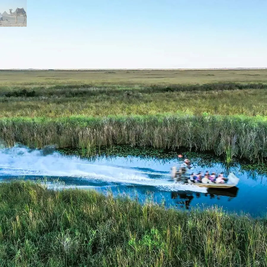 Miami Everglades National Park Airboat Tour & Wildlife Show 