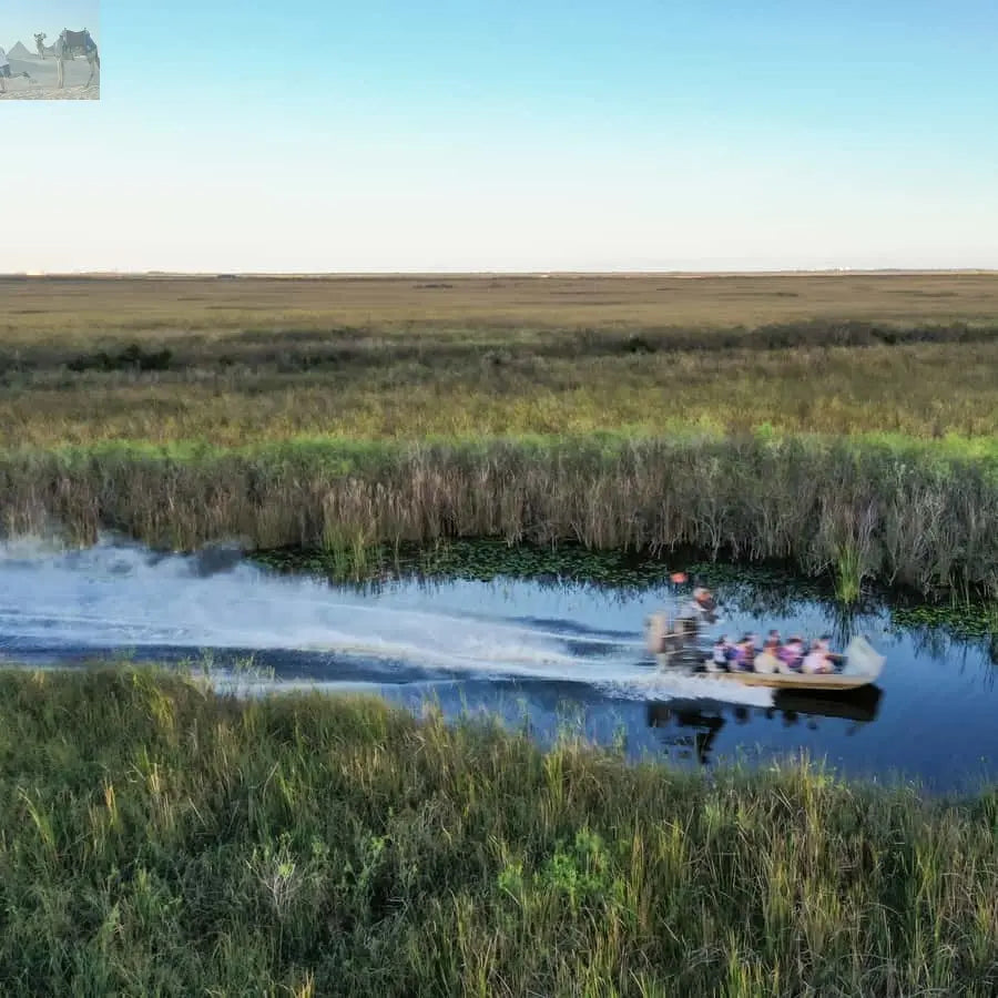 Miami Everglades National Park Airboat Tour & Wildlife Show 