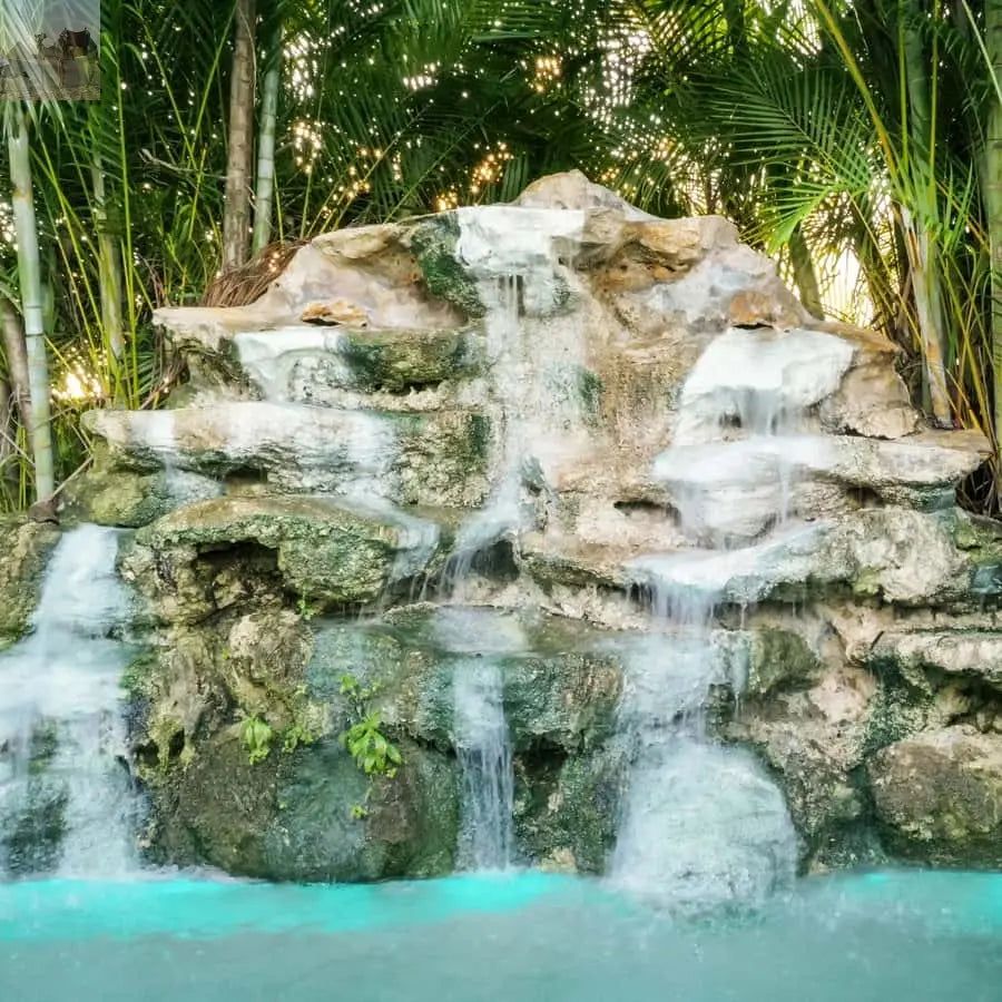 Miami Everglades National Park Airboat Tour & Wildlife Show 