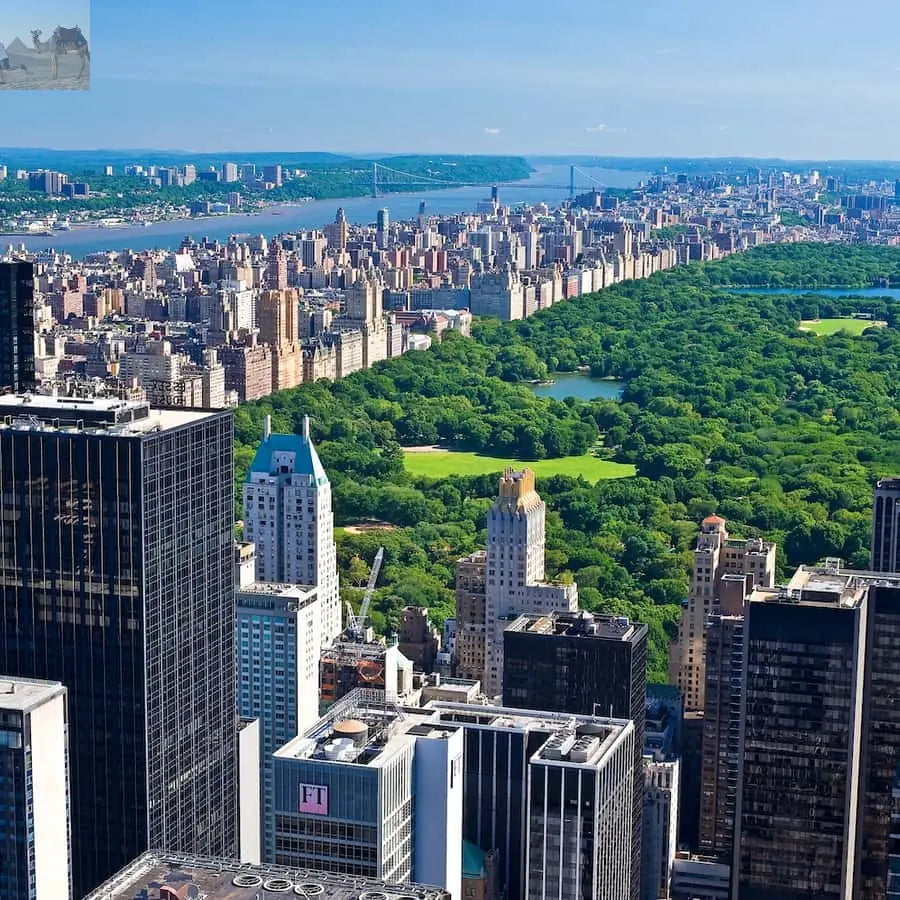 New York City PASS Save up to 41% at 5 Top Attractions 
