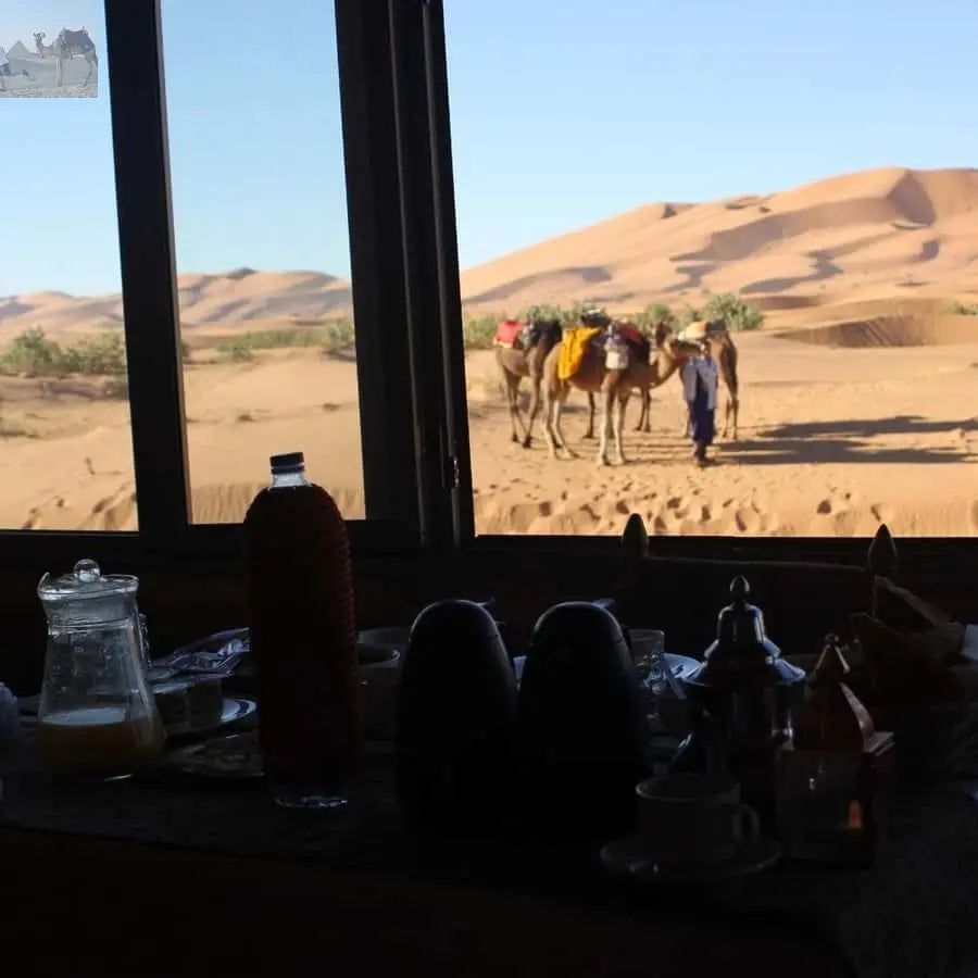 Overnight Adventure from Errachidia to Merzouga Sand dunes 