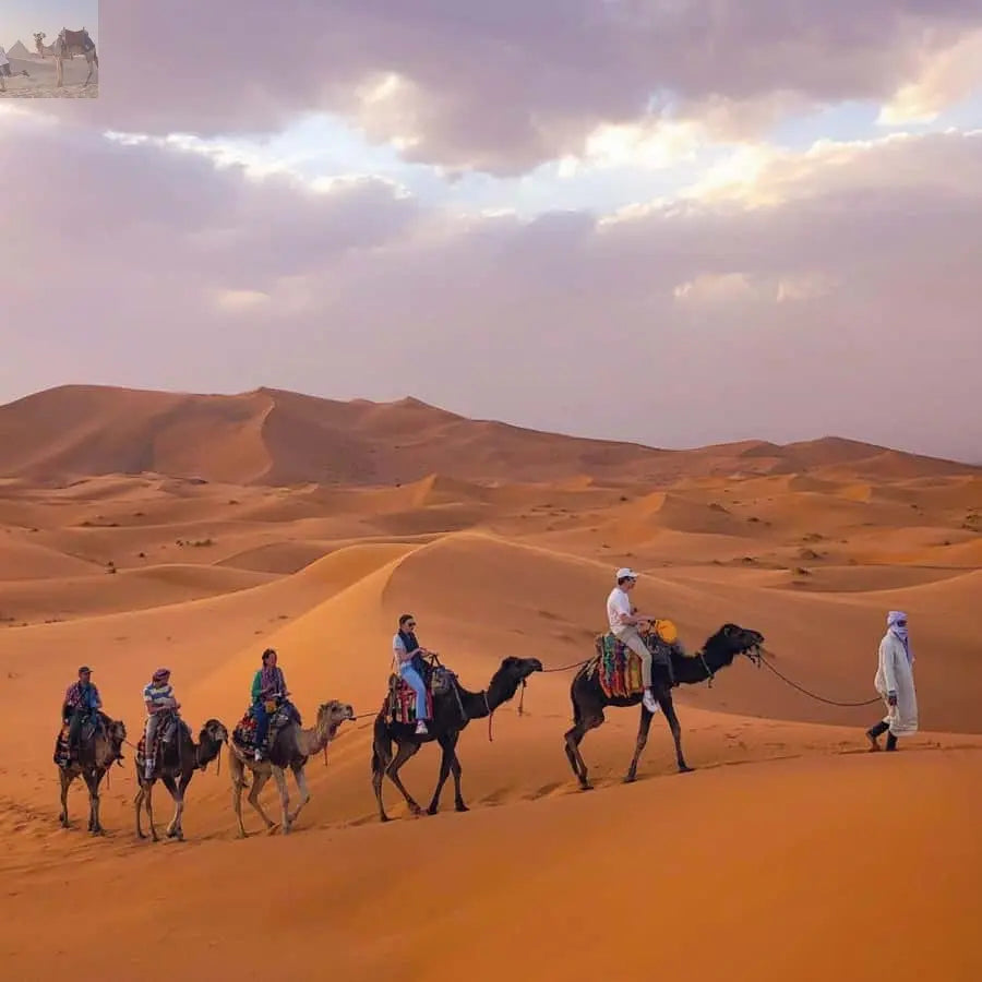 Overnight Adventure from Errachidia to Merzouga Sand dunes 