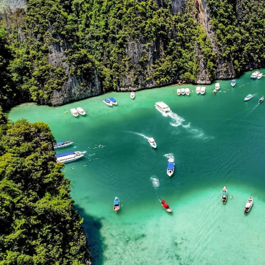 Phuket Maya Phi Phi and Bamboo Island with Buffet Lunch 