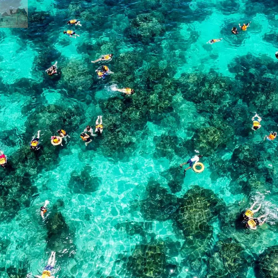 Phuket Maya Phi Phi and Bamboo Island with Buffet Lunch 