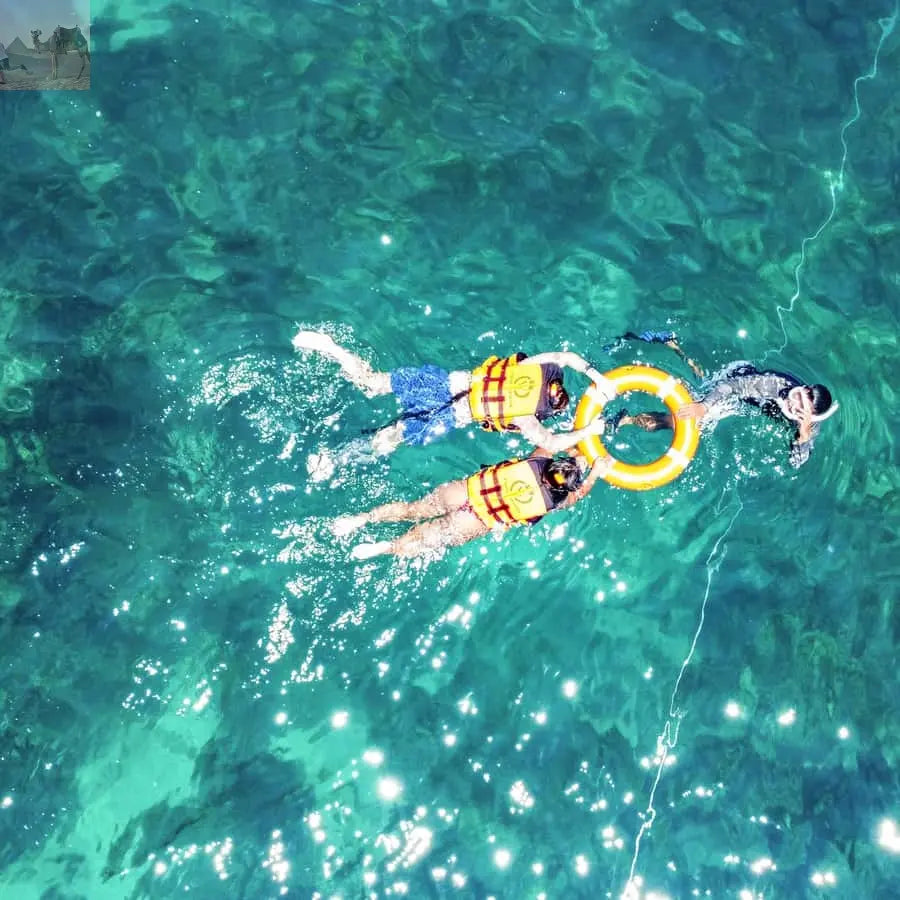 Phuket Maya Phi Phi and Bamboo Island with Buffet Lunch 