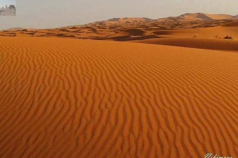 Private Taxi from Merzouga Desert to Errachidia City 