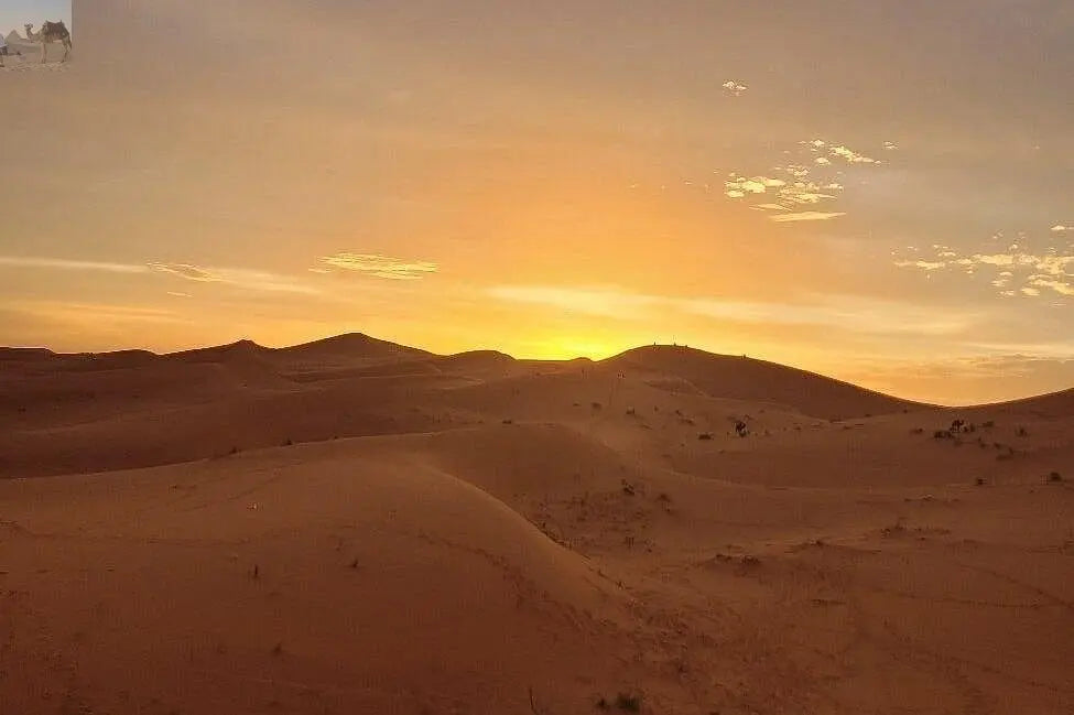 Private Taxi from Merzouga Desert to Errachidia City 