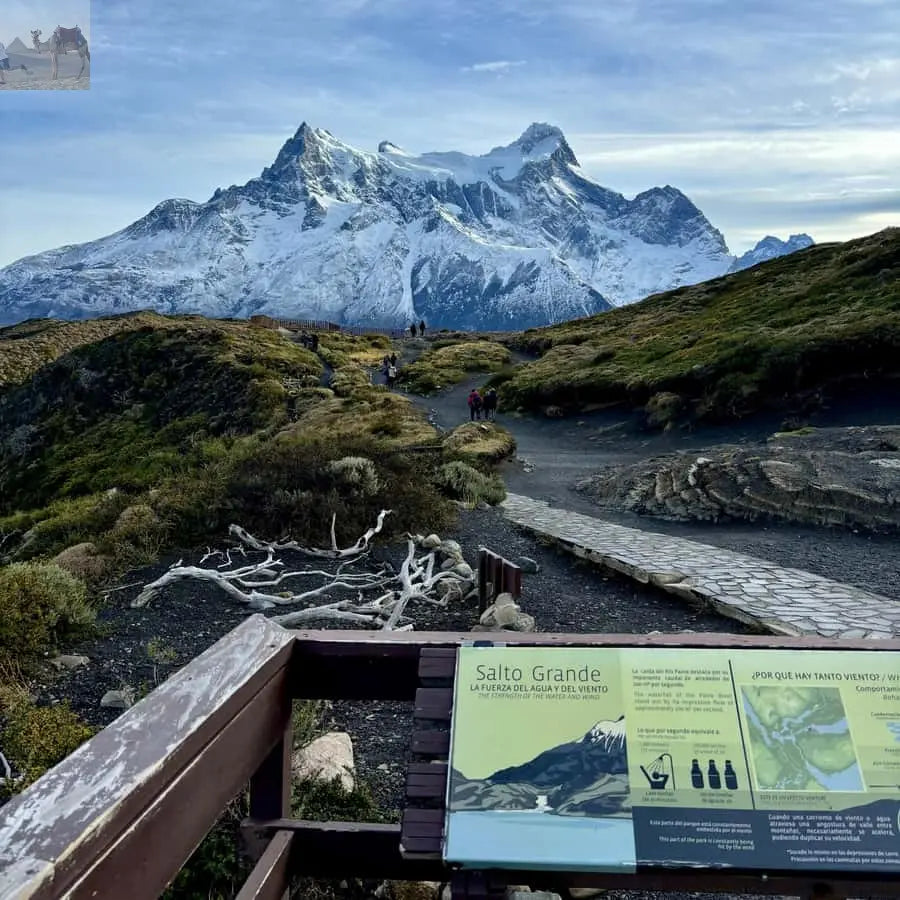 Puerto Natales Torres del Paine Full Day Tour 