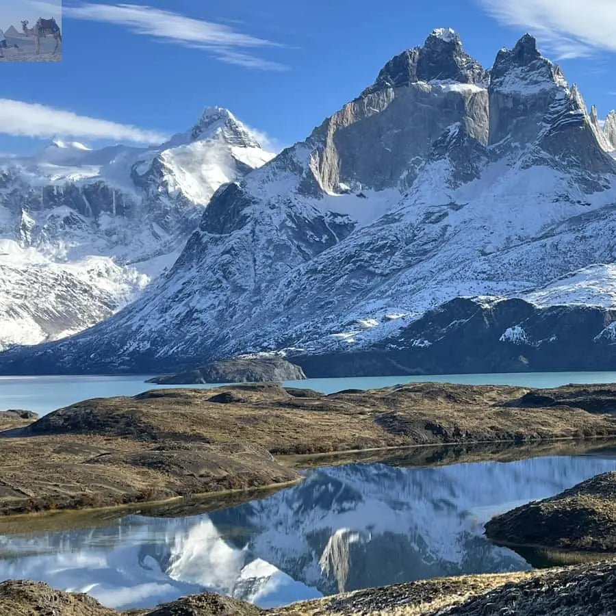 Puerto Natales Torres del Paine Full Day Tour 