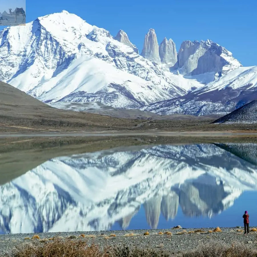 Puerto Natales Torres del Paine Full Day Tour 