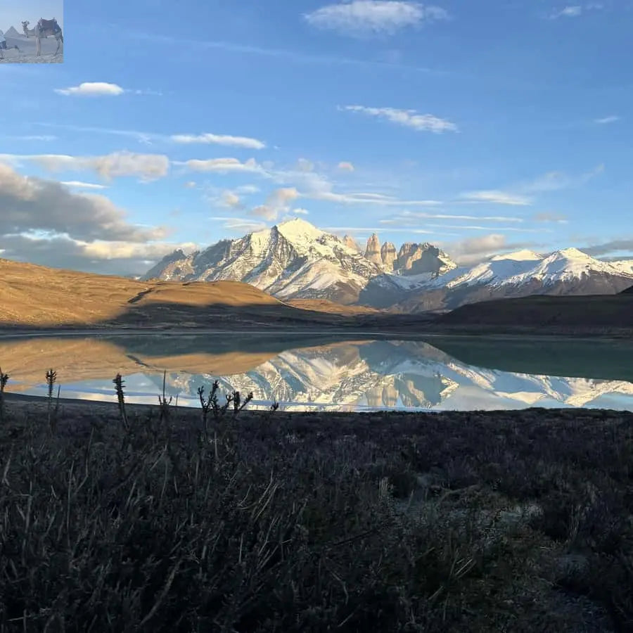 Puerto Natales Torres del Paine Full Day Tour 
