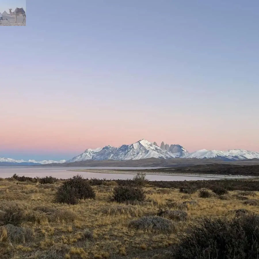 Puerto Natales Torres del Paine Full Day Tour 