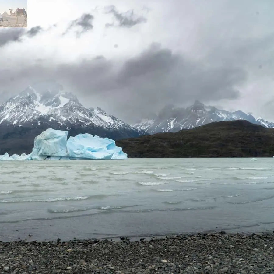 Puerto Natales Torres del Paine Full Day Tour 