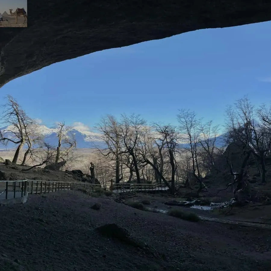 Puerto Natales Torres del Paine Full Day Tour 