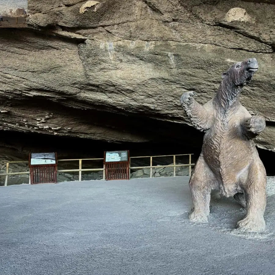 Puerto Natales Torres del Paine Full Day Tour 