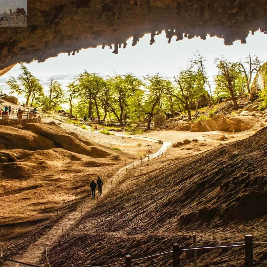 Puerto Natales Torres del Paine Full Day Tour 