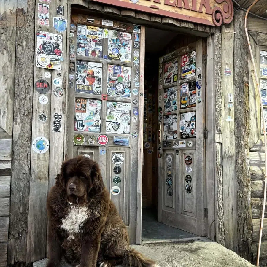 Puerto Natales Torres del Paine Full Day Tour 