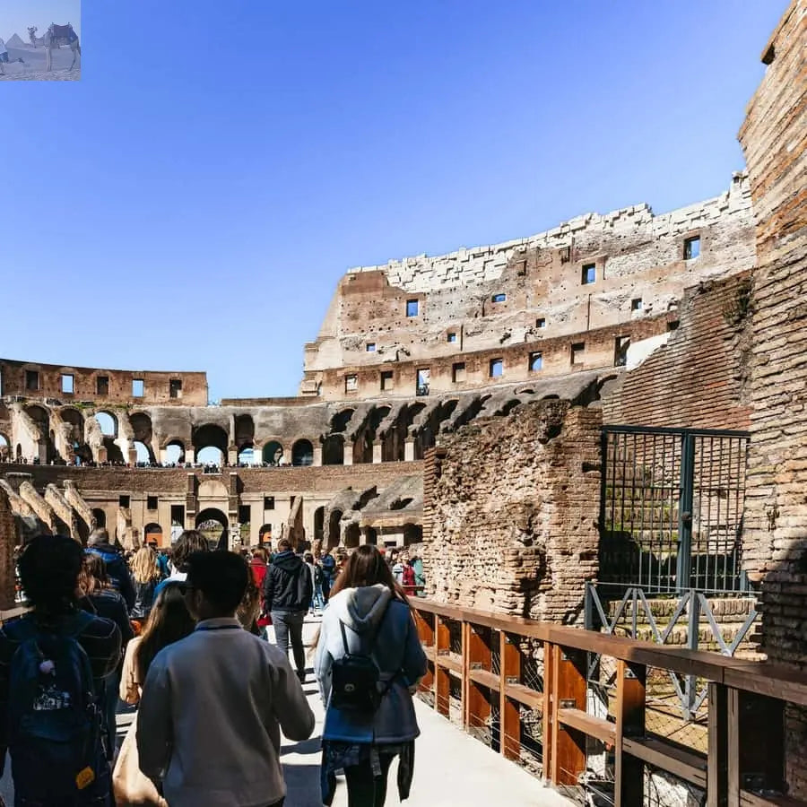Rome Colosseum Arena Floor Palatine & Forum Guided Tour