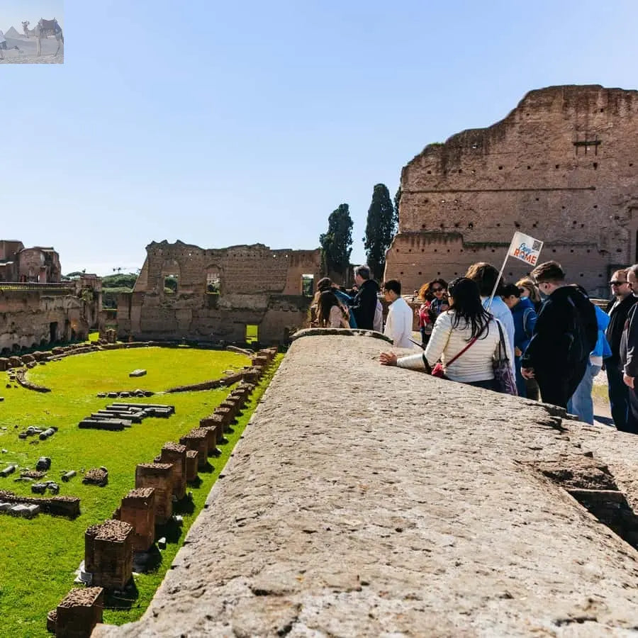 Rome Colosseum Arena Floor Palatine & Forum Guided Tour 