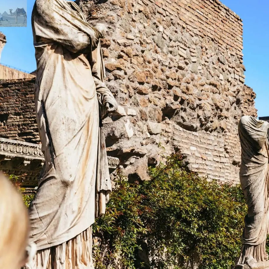 Rome Colosseum Arena Floor Palatine & Forum Guided Tour 