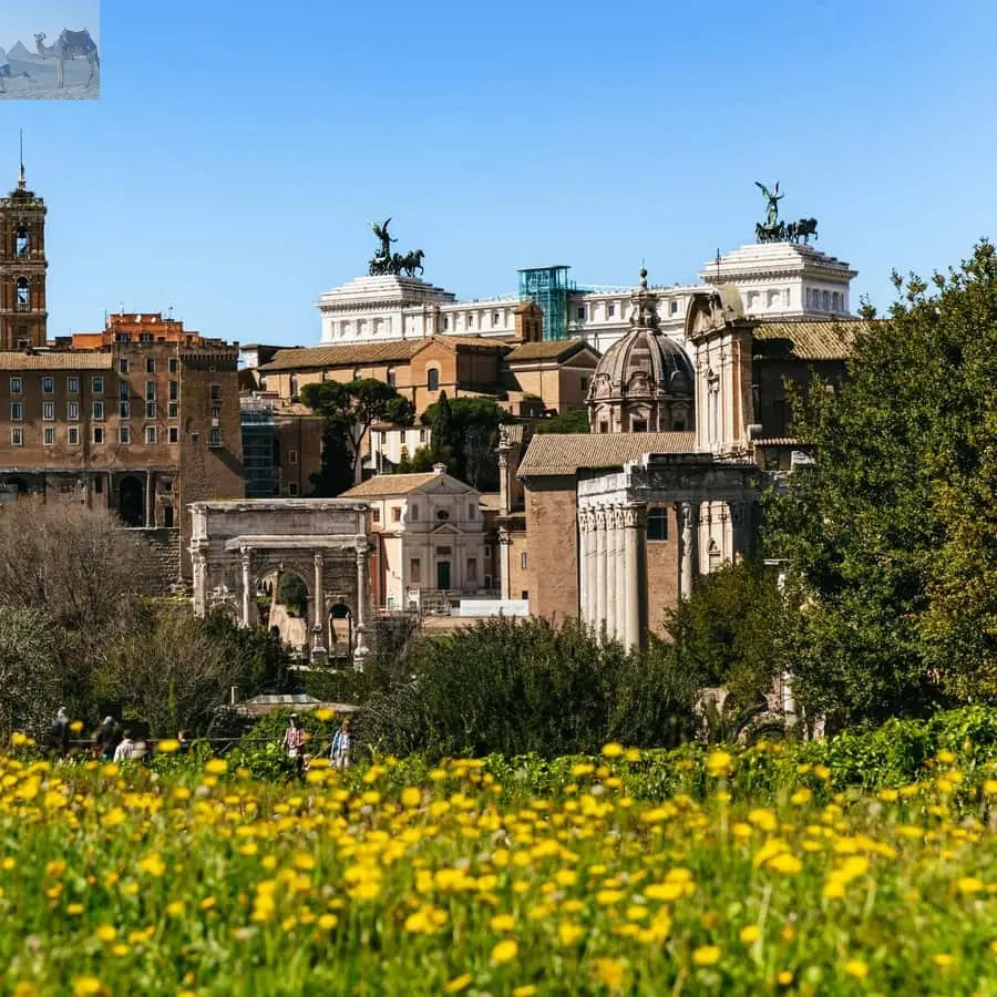 Rome Colosseum Arena Floor Palatine & Forum Guided Tour 