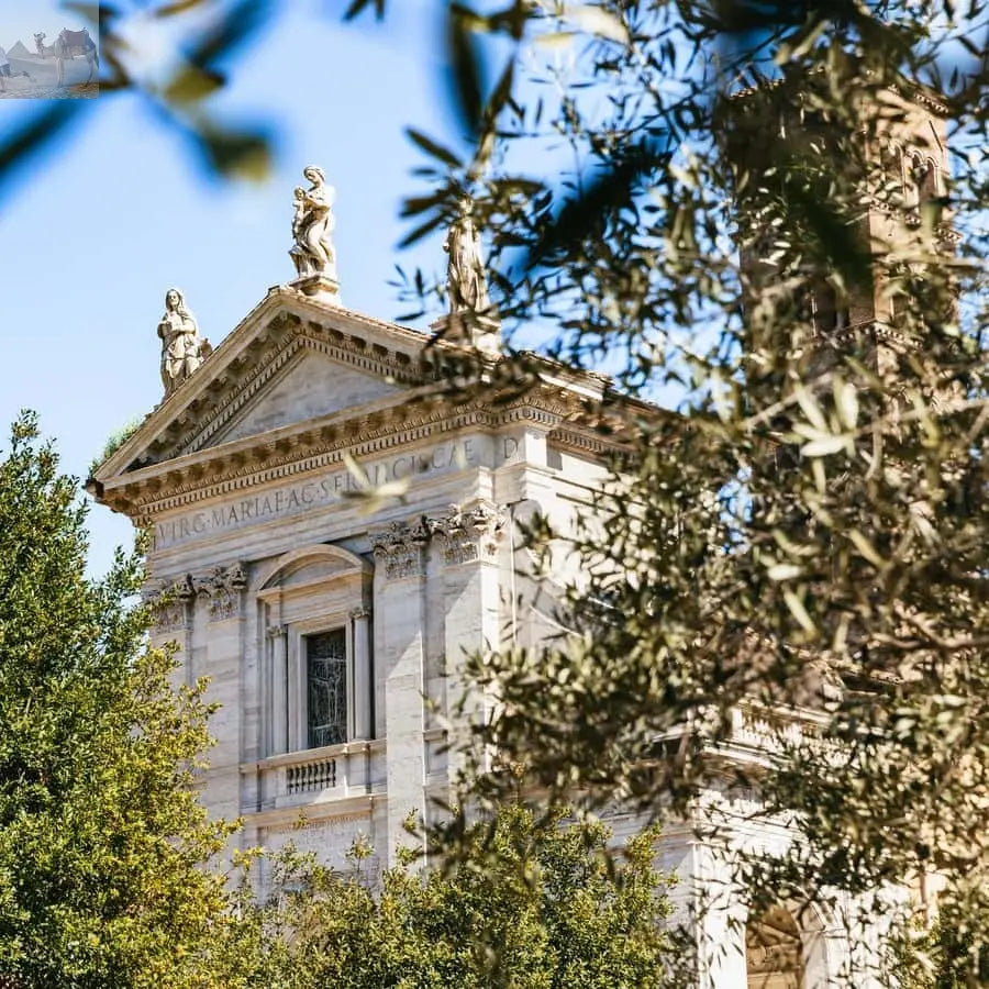 Rome Colosseum Arena Floor Palatine & Forum Guided Tour 