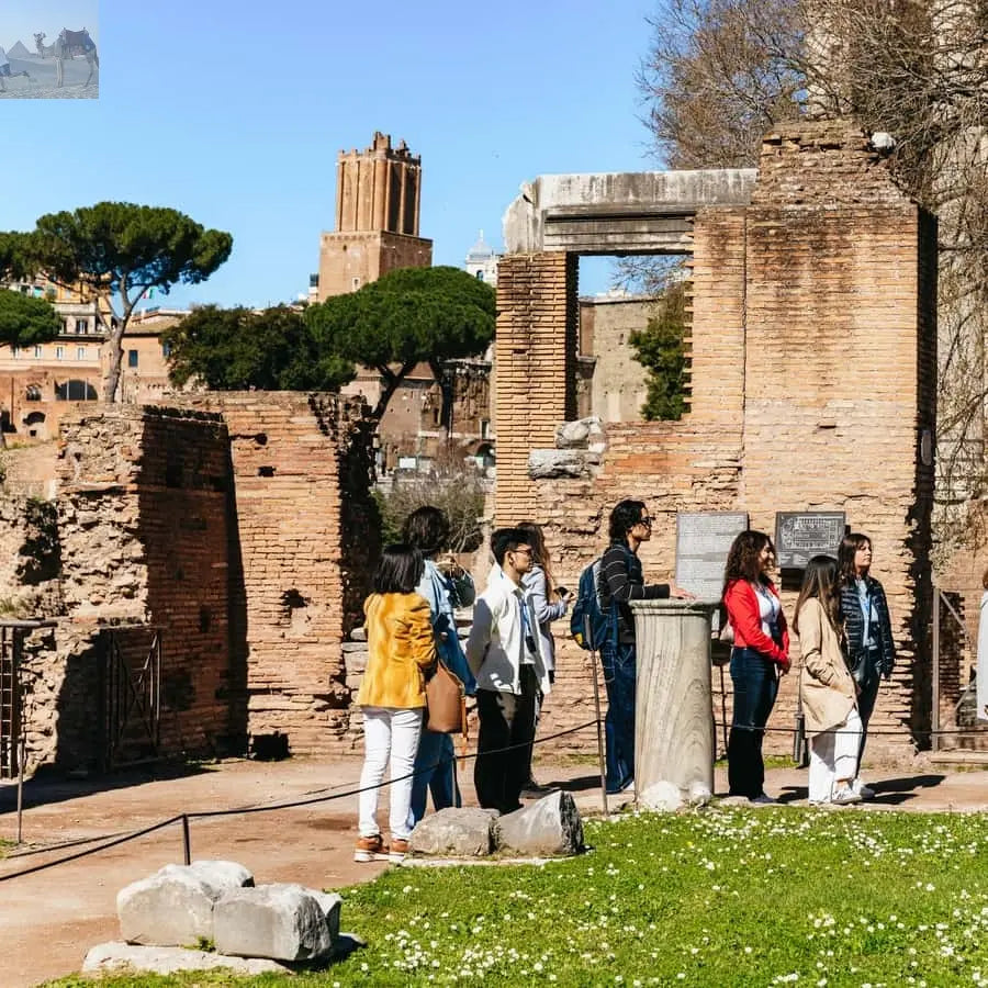 Rome Colosseum Arena Floor Palatine & Forum Guided Tour 