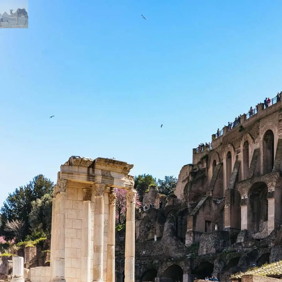 Rome Colosseum Arena Floor Palatine & Forum Guided Tour 