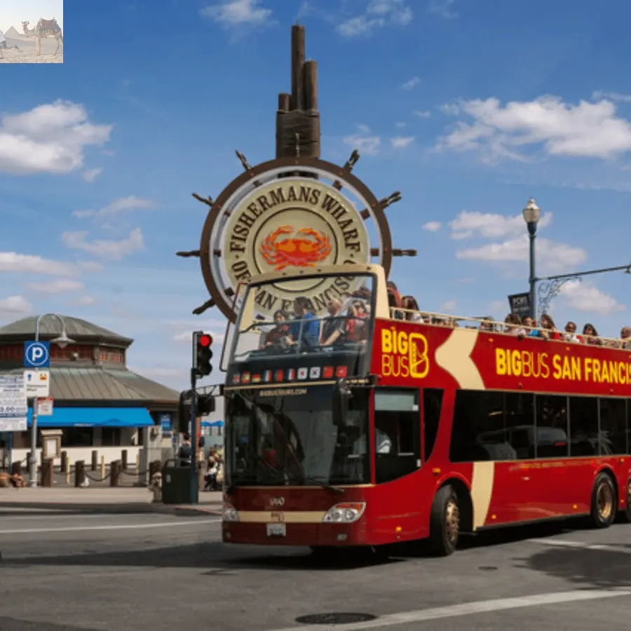 San Francisco Alcatraz Island & 48 Hour Hopb On Hop Off Tour 