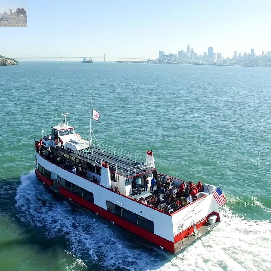 San Francisco Golden Gate Bay Cruise 1 hour 