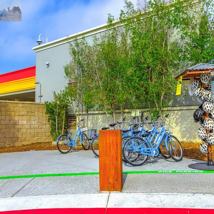 San Francisco Silicon Valley Private Tour with Hotel Pickup 