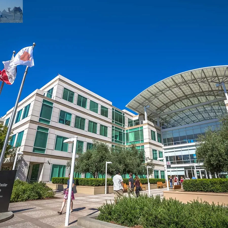 San Francisco Silicon Valley Private Tour with Hotel Pickup 