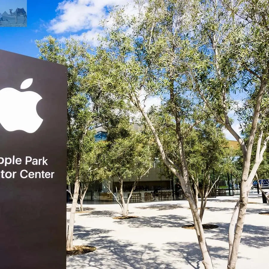 San Francisco Silicon Valley Private Tour with Hotel Pickup 