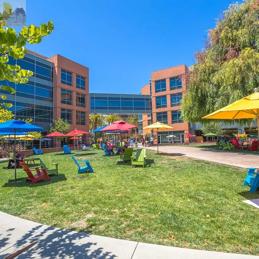 San Francisco Silicon Valley Private Tour with Hotel Pickup 