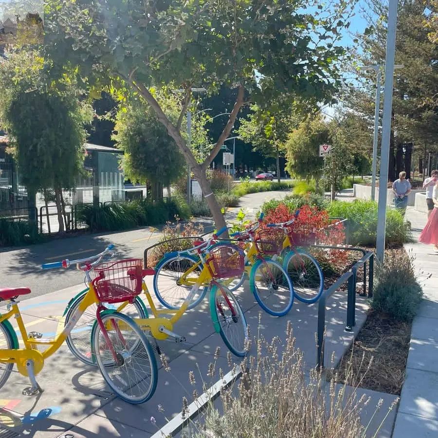 San Francisco Silicon Valley Private Tour with Hotel Pickup 