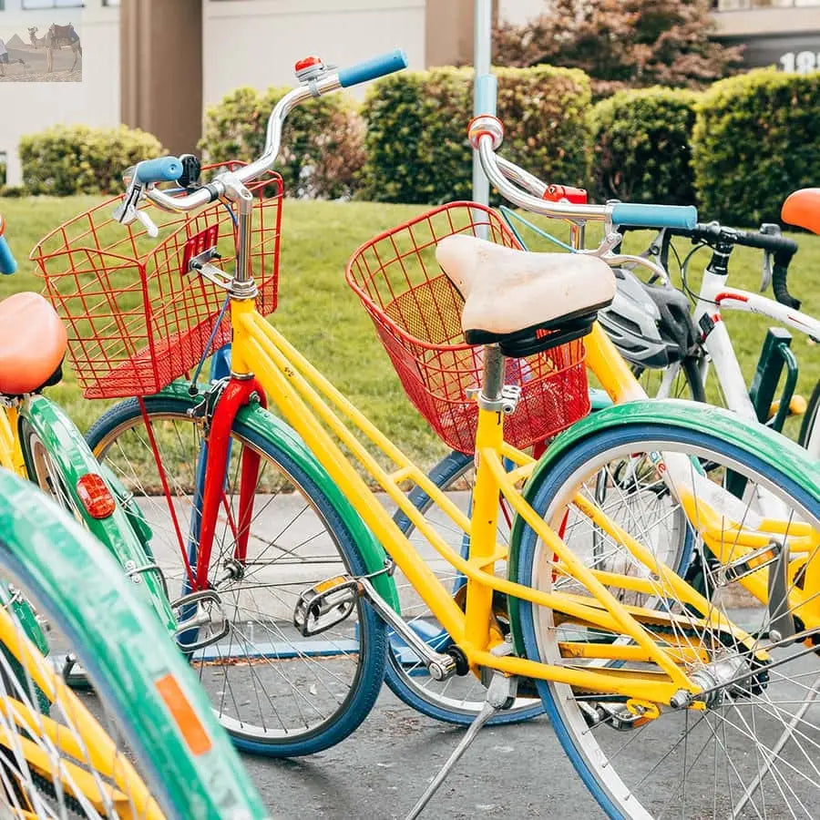 San Francisco Silicon Valley Private Tour with Hotel Pickup 