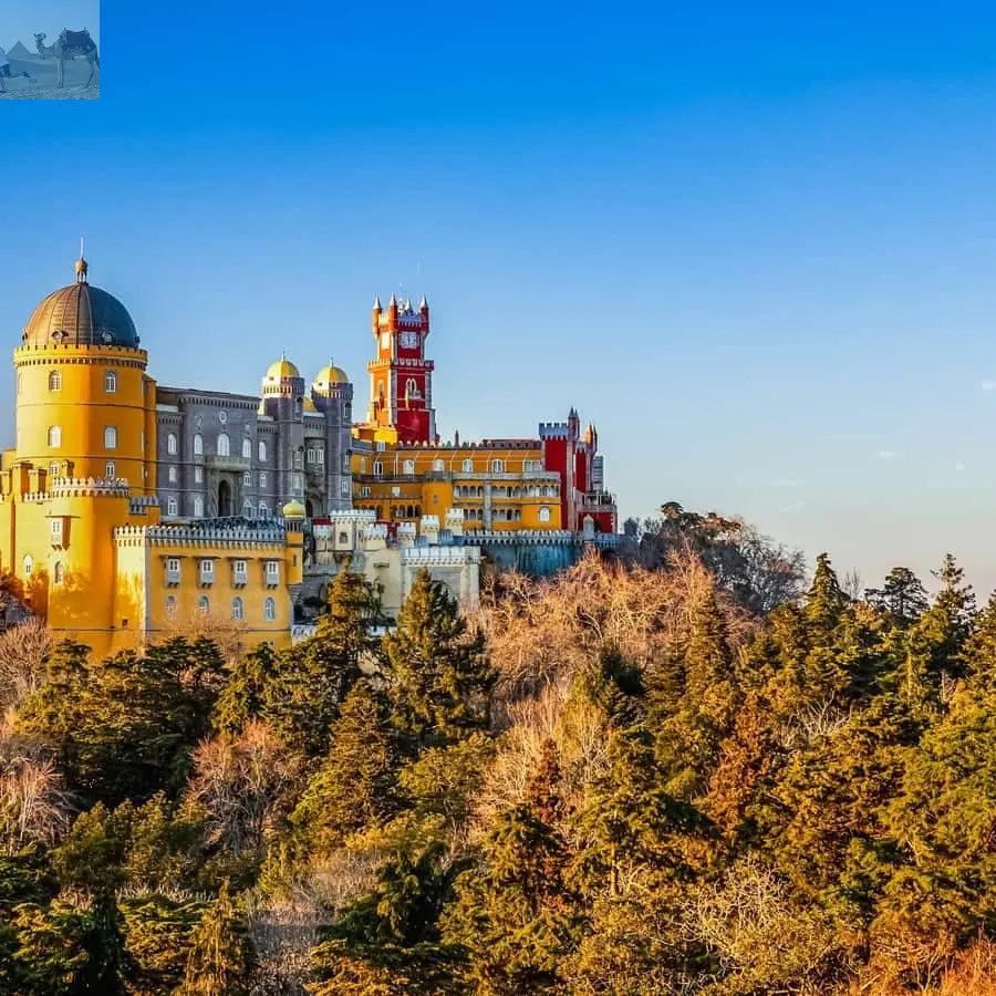 Sintra Pena Palace and Park Entrance Ticket 