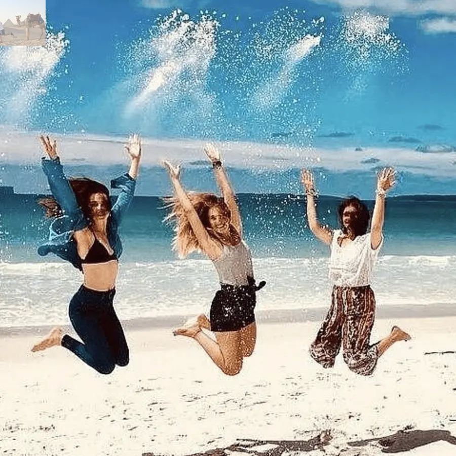 Sydney Jervis Bay Day Trip with Dolphins Roos & Beach Time