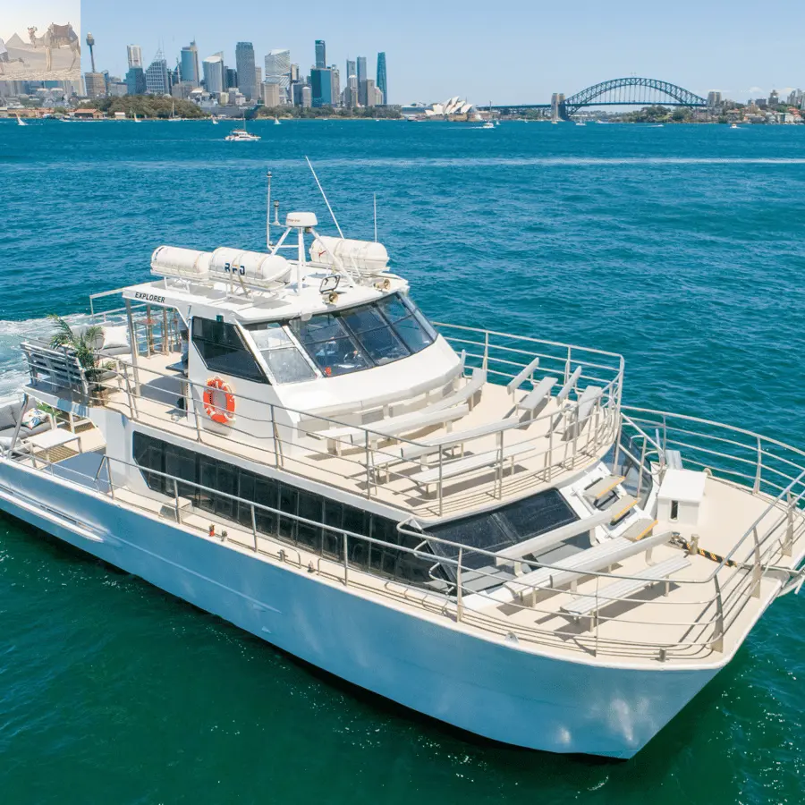 Sydney Whale Watching Adventure Cruise 