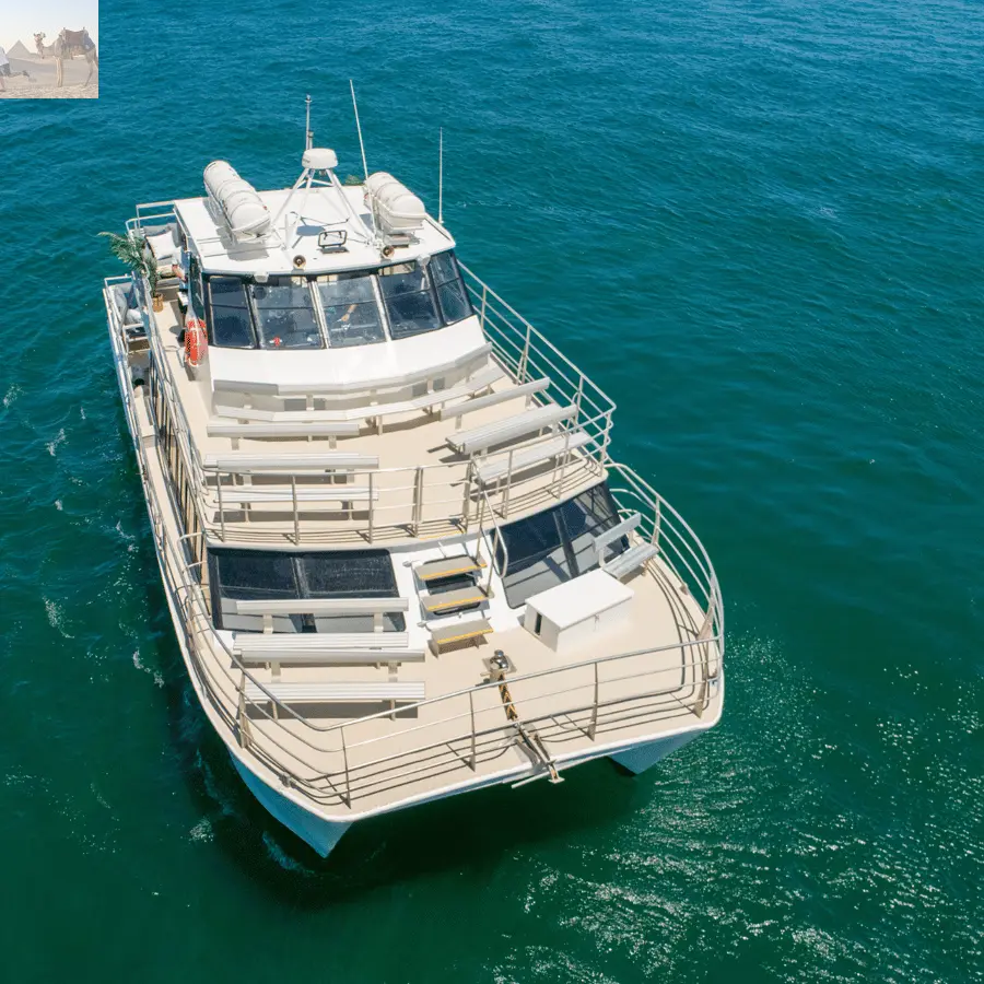 Sydney Whale Watching Adventure Cruise 