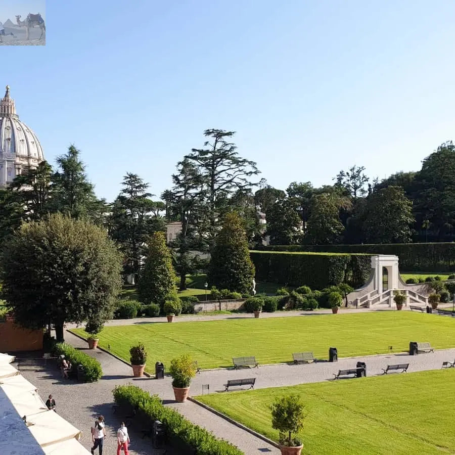Vatican Museums & Sistine Chapel Entrance Ticket 