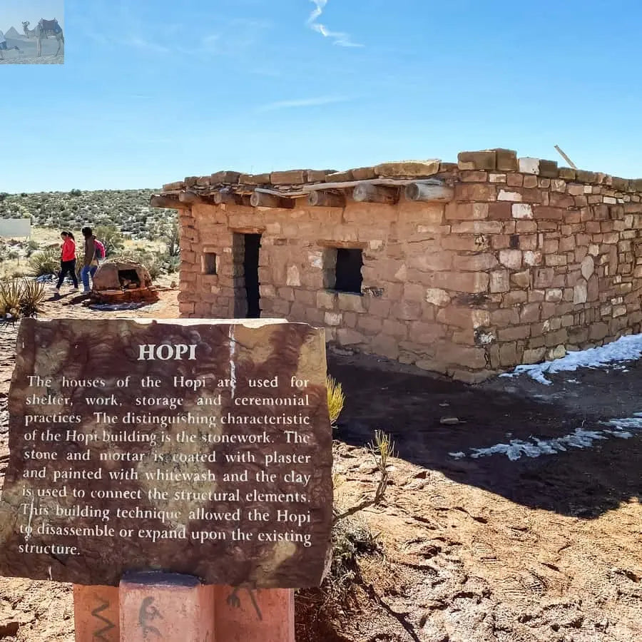 Vegas Grand Canyon Hoover Dam Lunch Skywalk 