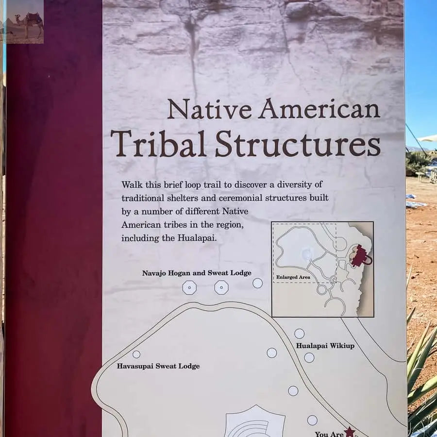 Vegas Grand Canyon Hoover Dam Lunch Skywalk 