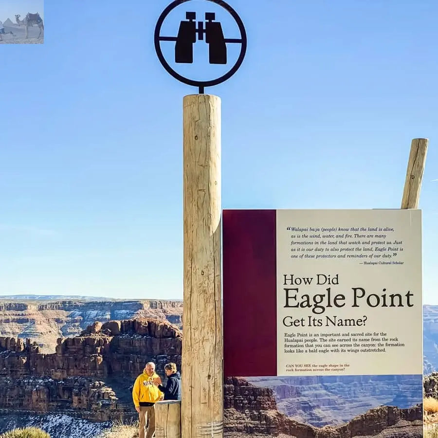 Vegas Grand Canyon Hoover Dam Lunch Skywalk 