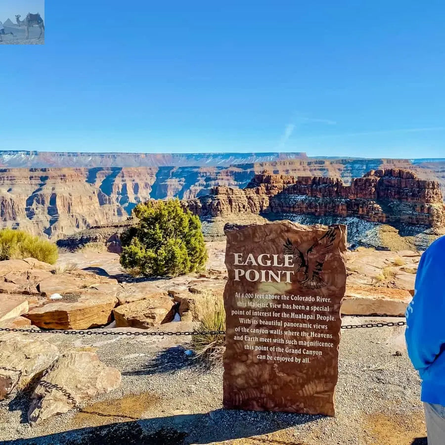 Vegas Grand Canyon Hoover Dam Lunch Skywalk 
