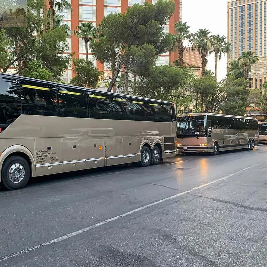 Vegas Grand Canyon Hoover Dam Lunch Skywalk 